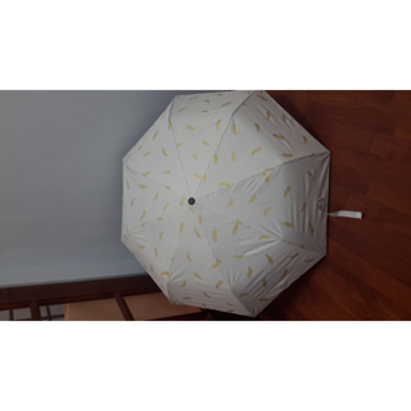 Folding Umbrella 