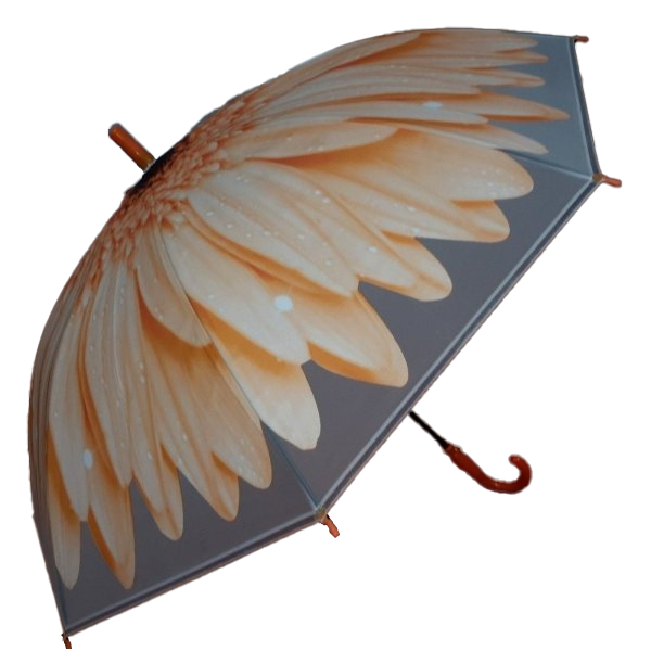 Children Umbrella