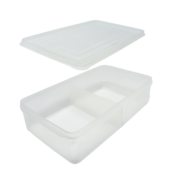 Plastic Box 2 Section