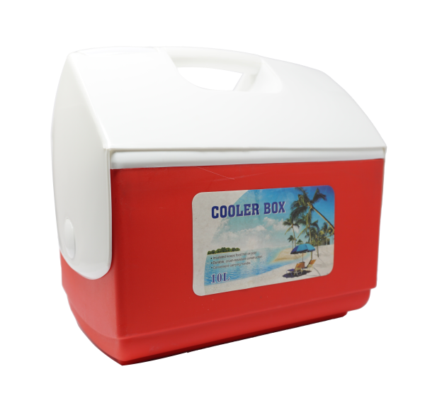 Lunch Cooler 10L 
