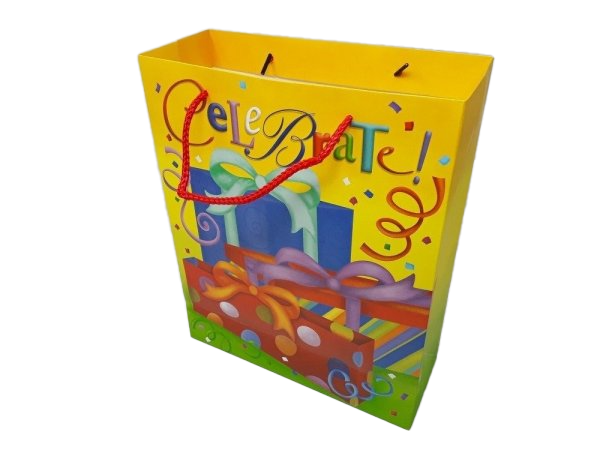 Gift Bag 12pc