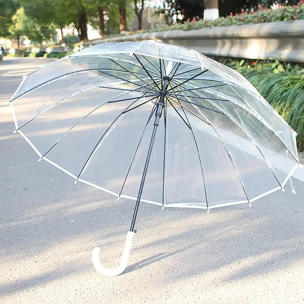 Clear top Umbrellas