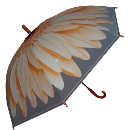 [2008] Children Umbrella