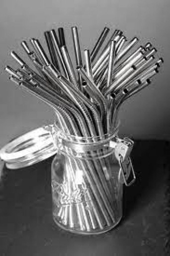 Stainless Steel Straw 215mm 