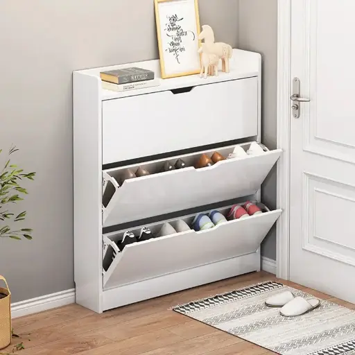 Standing Shoe Drawer