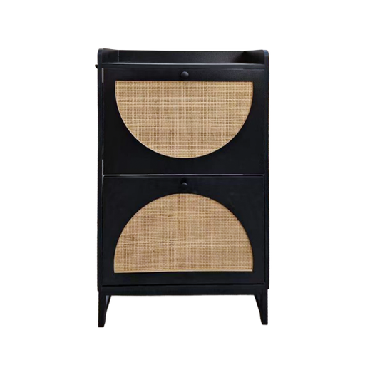 Black 2 Door  Shoe Cabinet